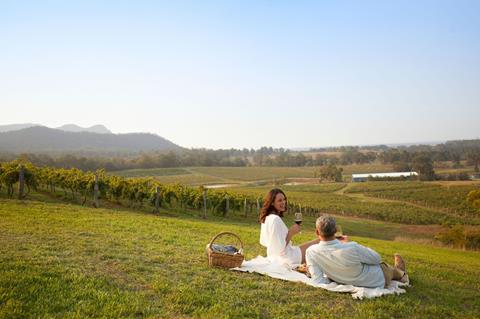 Couple having picnic in vineyard
